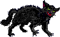 black kitty