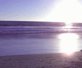 sun shot beach