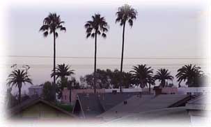 up on the roof
