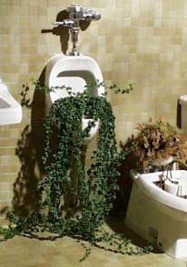(flowering urinal)