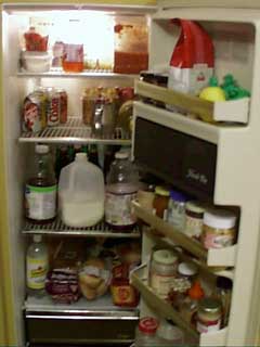 (a well-stocked fridge)