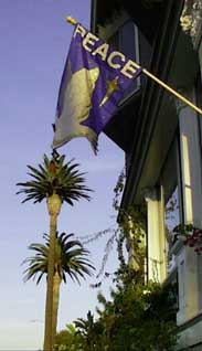 (peace in California)