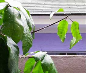 (raindrops keep fallin')