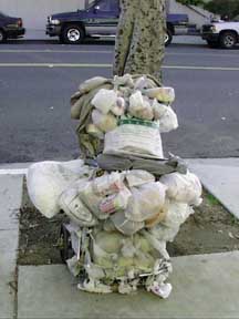 (plastic bag collection)