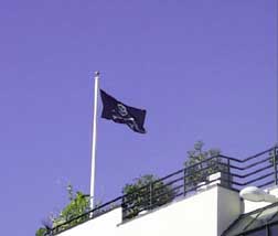 (waving the flag)