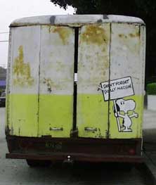 (yellow behind)