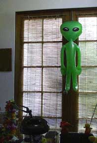 (... in the window?)