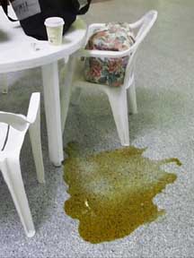 (coffee in the moring)