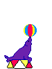 (trained seal)