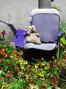(bear in a chair)