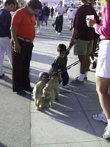 (a boy and 2 dogs)