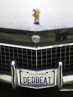 (california dreamin')