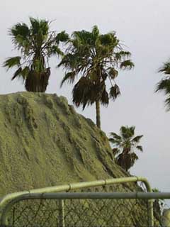 (piles of miles of smiles)