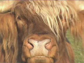 (hair's lookin' good)