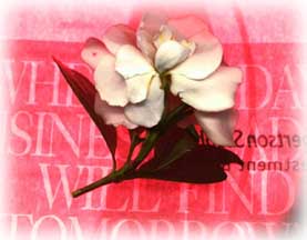 (sweet scent of summer)