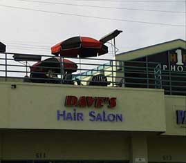 (Dave's hair)