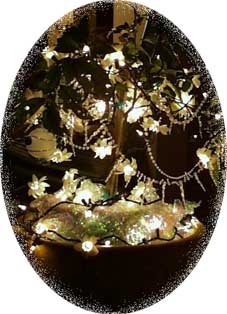 ( small tree)