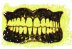 (teeth)