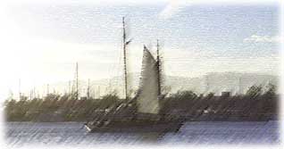 (white sail in the mid-afternoon)