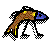 right dogfish