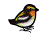 (left bird)