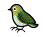 (right bird)