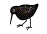 (picky bird)