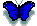 (blue)