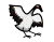 (crane)