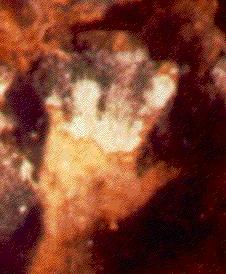 hand of the first man?