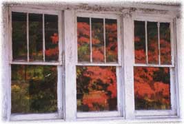 (October beauty)