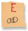 (letter e)