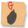 (letter g)